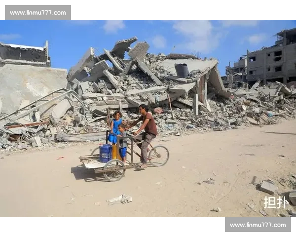 恰尔汗奥卢妻子发声：忠诚背后的利益博弈